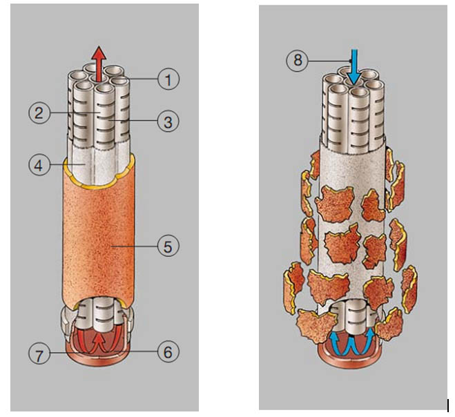 impulsny filtr 2